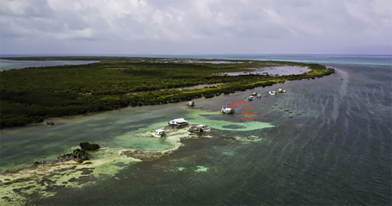 Photo by Greg Sweeney