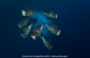 HM – Richard Barnden