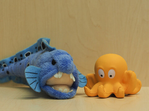 Olympus OM-D E-M1 Mk II. ISO 400.