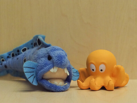 Olympus OM-D E-M1 Mk II. ISO 6400