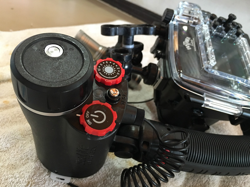 SeaLife Sea Dragon Flash set up and ready for action.