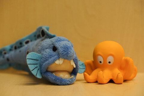 Sony a7R II. ISO 6400.